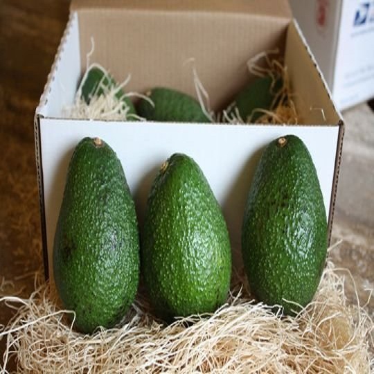 Nasza firma jest głównym dostawcą produktów rolnych z RPA, dostarczamy świeże owoce i warzywa, przyprawy, Posiadamy dużą farmę Avocado i fabrykę pakowaną