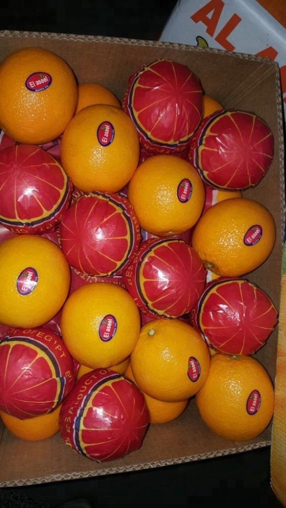 Możliwość dostawy: 5000 ton metrycznych / ton metrycznych na miesiąc Opakowania i dostawy Szczegóły opakowania 8 kg / 10 kg / karton 15 kg Wewnętrzne: