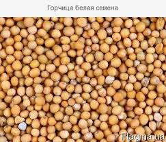 MUSTARD Rodzaj produktu: Pojedyncze zioła i przyprawy Styl: Świeży Certyfikat: ISO Kształt: Okrągły Kolor: biały Miejsce pochodzenia: Rosja Nasiona gorczycy