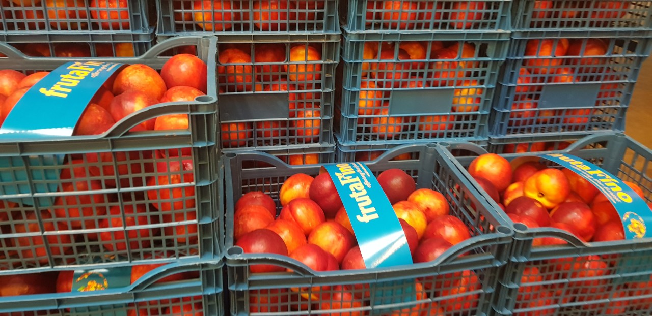 Fia Gogot Fruit oferuje świeże nektaryny i brzoskwinie z sadu w cenie producenta zapakowane i wybrane zgodnie z Twoimi wymaganiami .