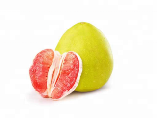 We are pomelo direct producer, we have two pomelo