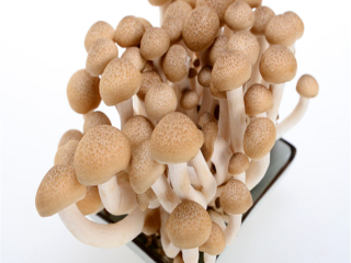 Hypsizygus Marmoreus Mushrooms Package: 150g*40/ctn, According to the customer's