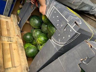 Witam, sprzedam arbuzy, kraj pochodzenia Węgry