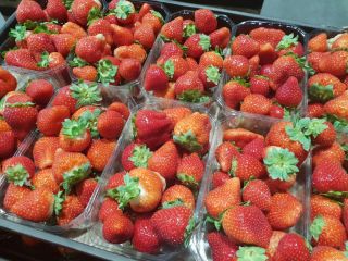 Fresh strawberry, top quality, good for export, 500 g