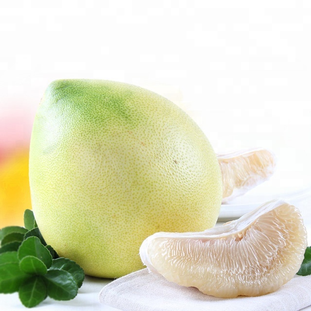 Jesteśmy bezpośrednim producentem pomelo, mamy dwie bazy do sadzenia pomelo, które łącznie zajmują powierzchnię 800 akrów