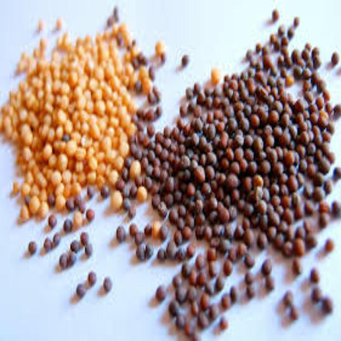 Najlepiej sprzedające się nasiona gorczycy białej / czarno-żółtej niska cena Szybkie szczegóły Rodzaj produktu: Pojedyncze zioła i przyprawy Styl: Suszenie