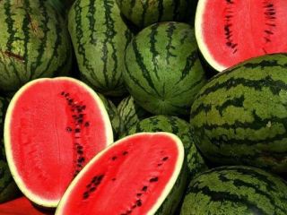 JESTEŚMY PRYWATNĄ WŁASNĄ FIRMĄ Z SYRUSEM. DUŻE NASZE PRODUKTY
