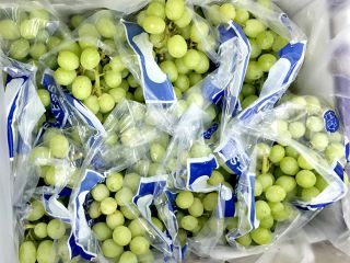 Świeże winogrona bez nasion na sprzedaż. Skontaktuj się z