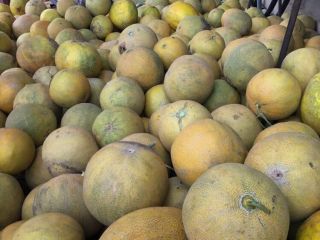 Mamy do sprzedania żółte melony import Rumunią.Ilosci calosamochodowe 20