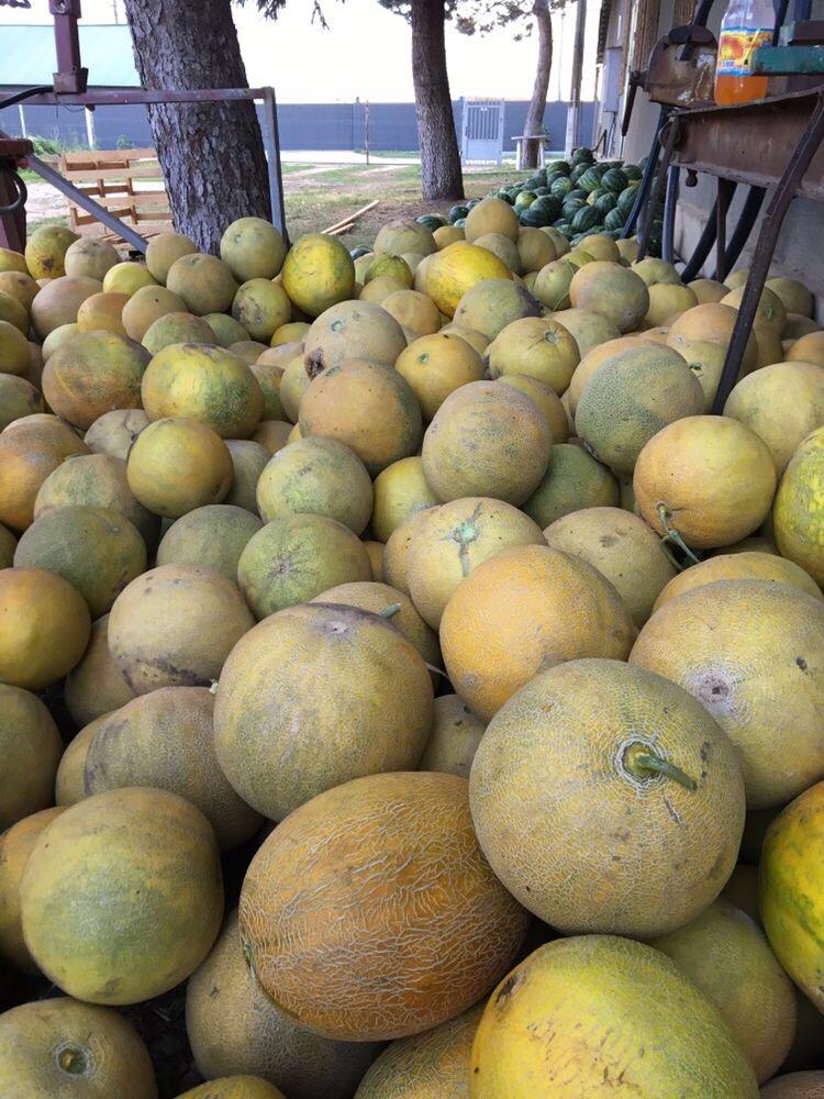 Mamy do sprzedania żółte melony import Rumunią.Ilosci calosamochodowe 20 ton.Cena z dostawa 2,10 PLN/kg.Oferta limitowana