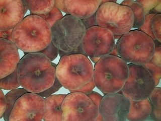 Sprzedam brzoskwinię paraguayo, import, świeża, ładna, soczysta.