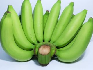 contact for fresh offers and good price rates direct