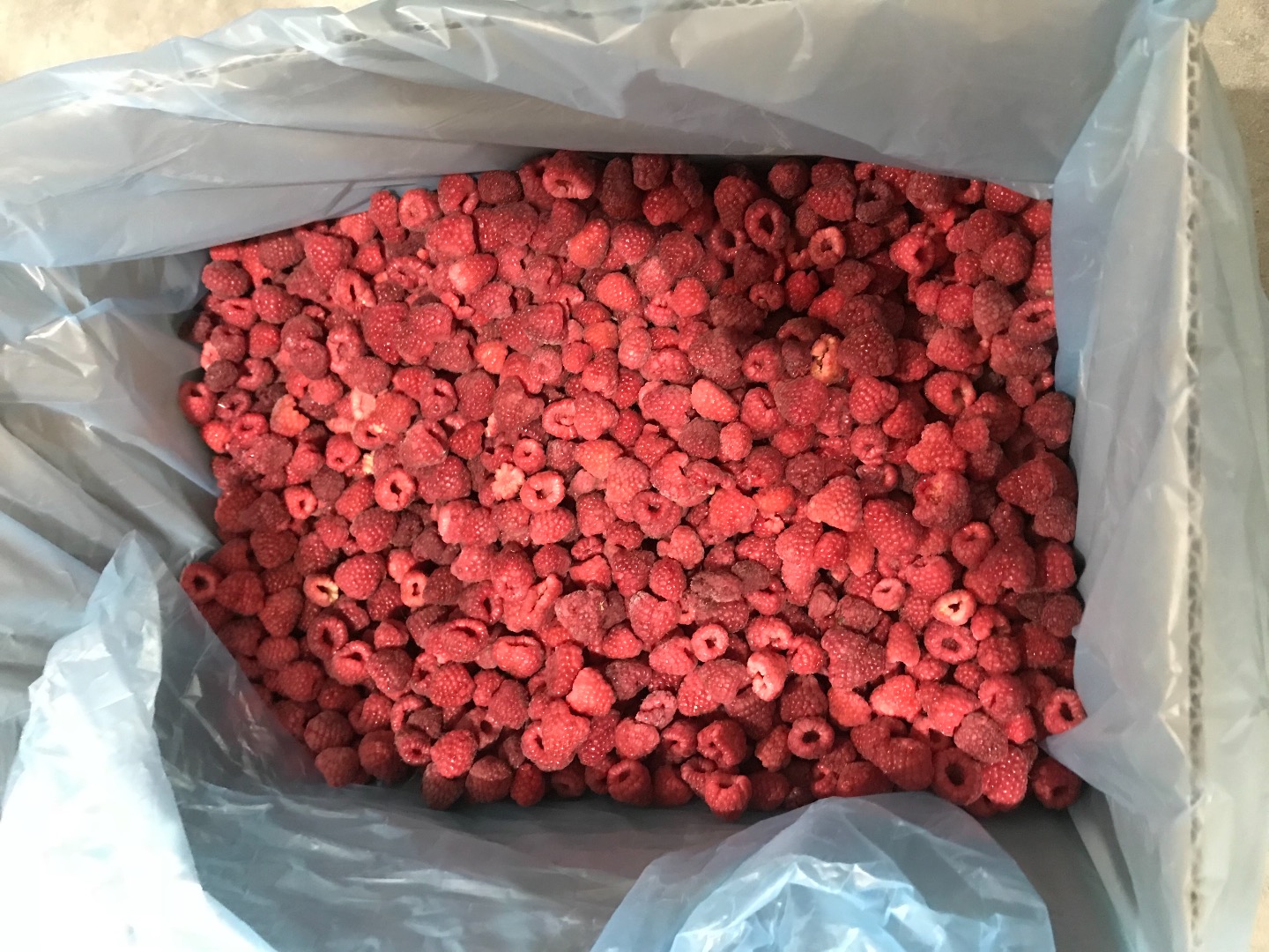 Sprzedam Malinę mrożoną tirowe ilosci z dostawa, opakownie karton 10kg 80/20 lub grus w workach po 25 kg