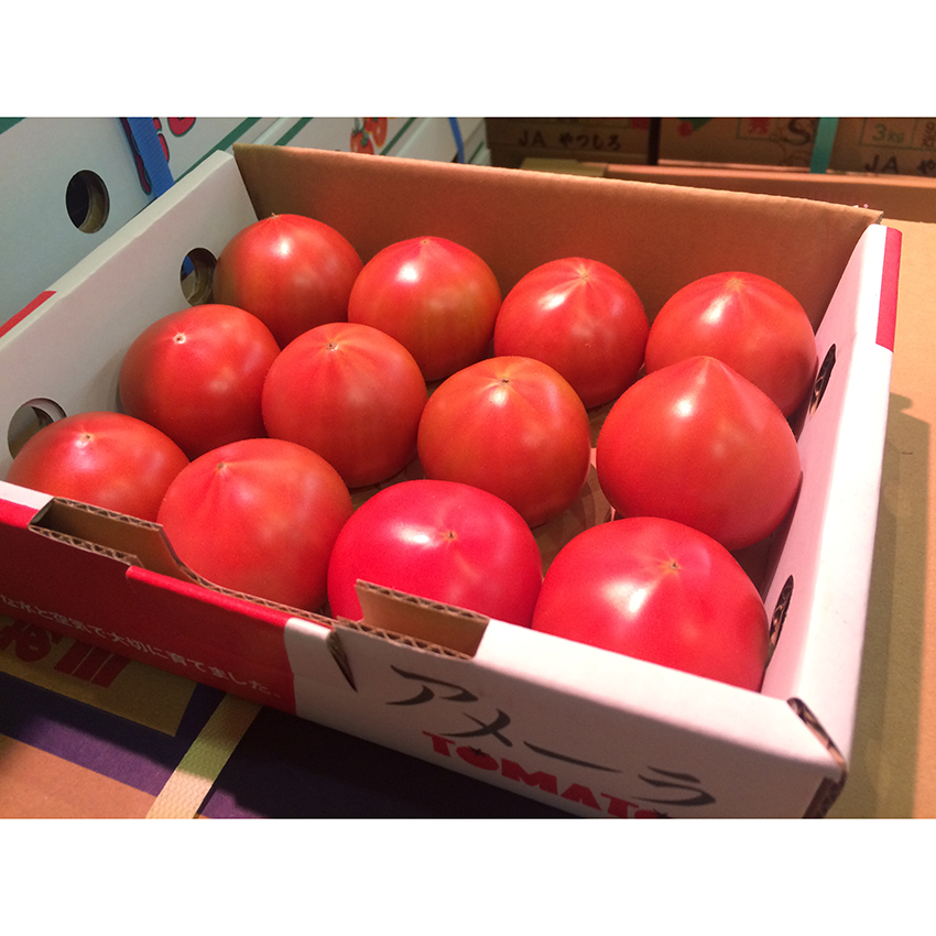 Kupuj świeże odmiany Toma Farm od nas w niskiej cenie