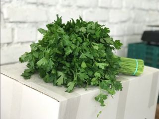 Przyjmujemy zamówienia kontraktowe na zioła ( koperek, pietruszka, koledra,