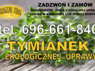 Ekologiczna, certyfikowana uprawa tymianku. Możliwość wysyłki pocztą.