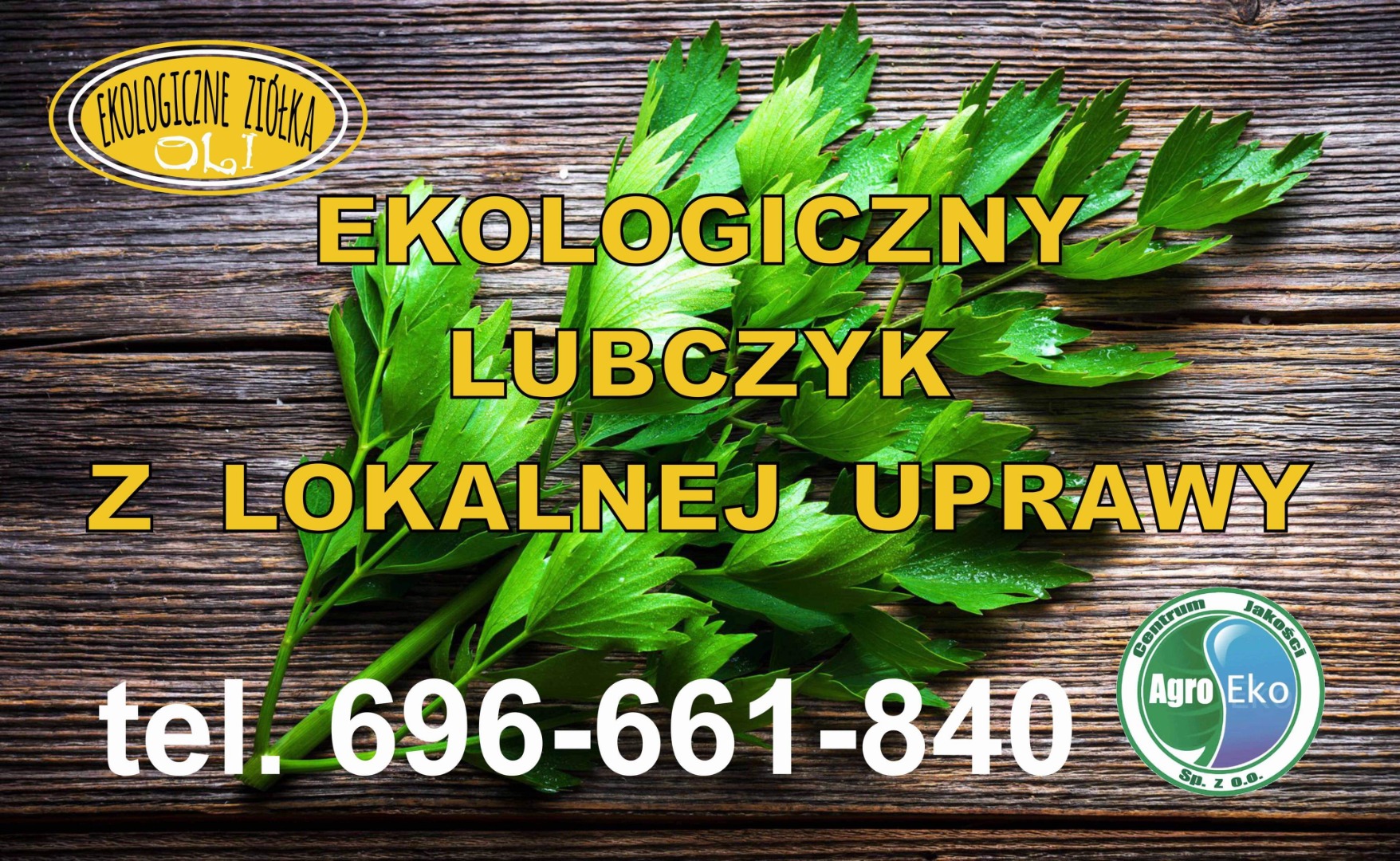 Sprzedam jednorazowo około 200kg lubczyku