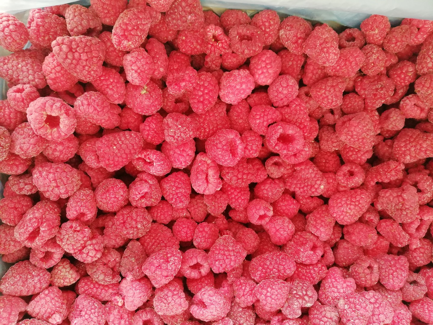 Oferujemy produkty mrożone! Dostępne mrożone jagody - maliny, jeżyny, truskawki itp
