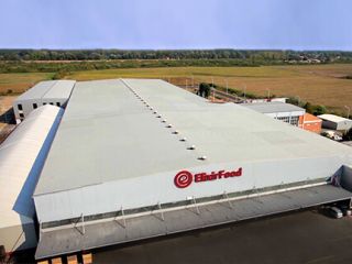 Sprzedaż fabryki do produkcji mrożonych produktów Na terytorium Republiki