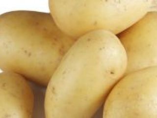 Ziemniaki w Holandii do sprzedaży po więcej szczegółów na
