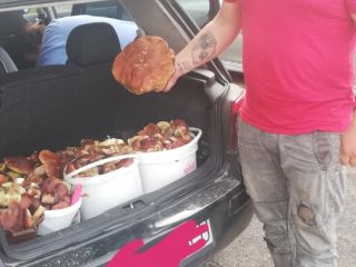 Sprzedam podgrzybki na zamówienie