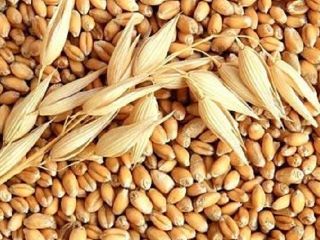 We supply food and beverages FMCG and many more