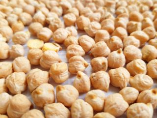 Ciecierzyca wysokiej jakości; Dostępny gatunek 5-6 mm; Całkowity brak