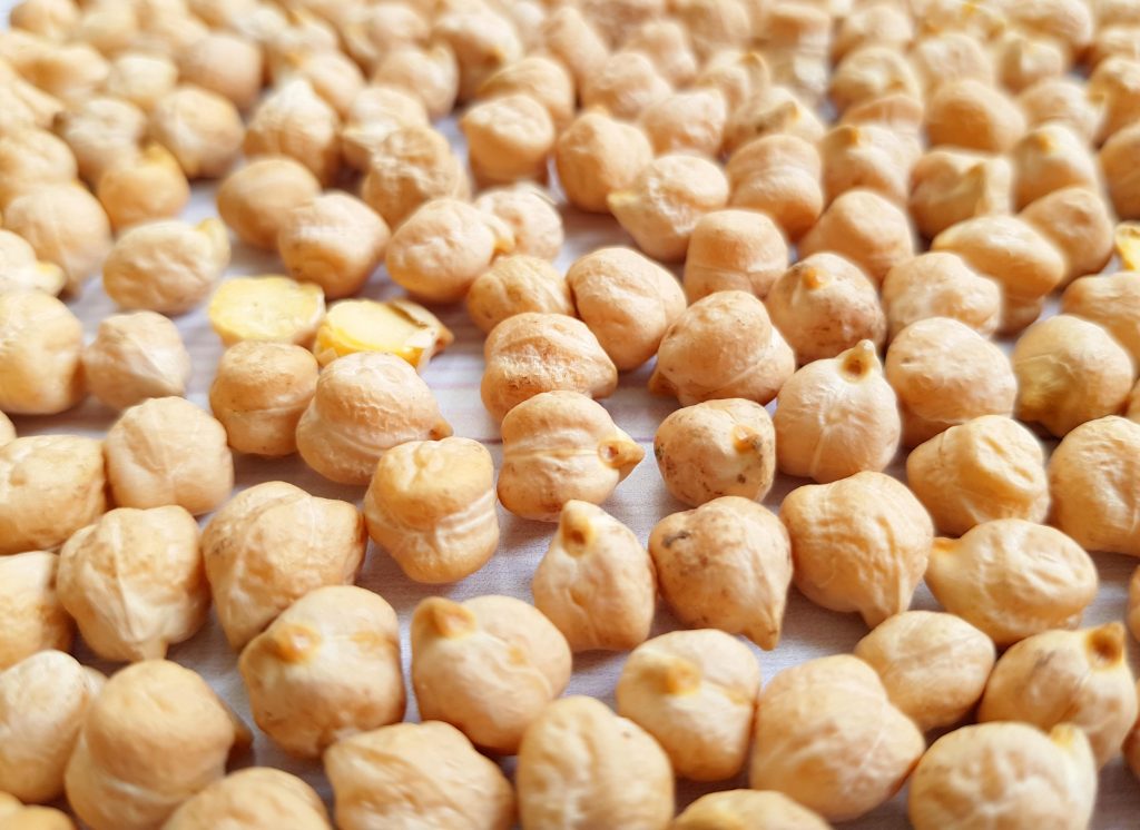 Ciecierzyca wysokiej jakości; Dostępny gatunek 5-6 mm; Całkowity brak GMO, certyfikacja spełniająca rosyjskie standardy jakości