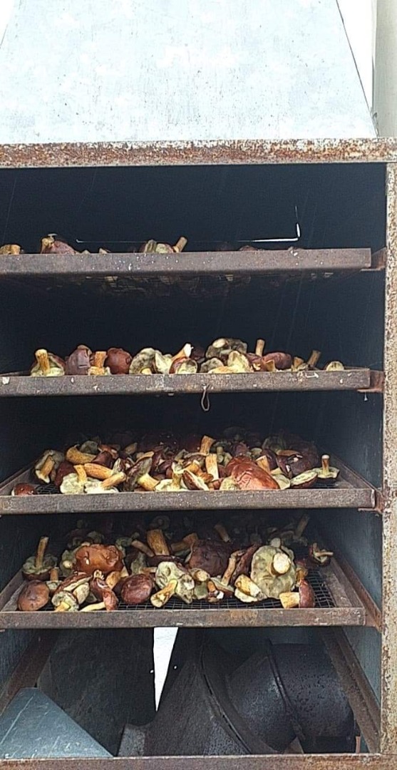 Witam posiadam na sprzedaż podgrzybki suszony ok 35kg więcej info priv