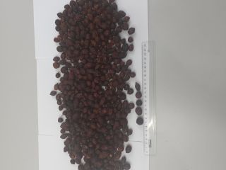 Suche buzdygany, wysokiej jakości, przyjazne dla środowiska, , viber,