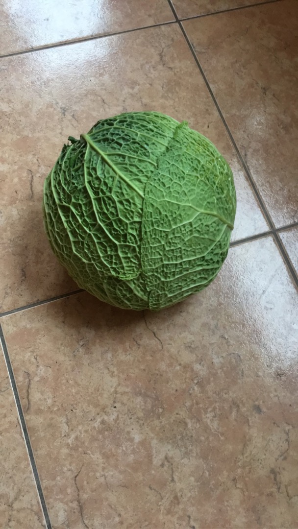 Witam mam do sprzedania kapustę włoską 2-3kg