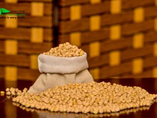 ciecierzyca MOQ 18 TON FIRSTEYE AGRO EXPORT web