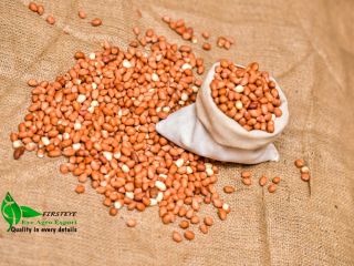 orzeszki ziemne MOQ 18 TONS FIRSTEYE AGRO EXPORT web