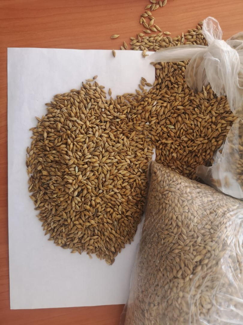 Jesteśmy producentem z terytorium Altay, Federacja Rosyjska