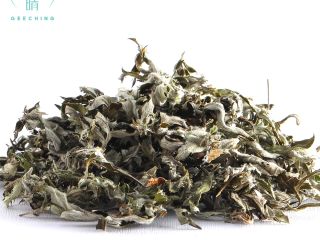 Artemisia argyi, powszechnie znana jako srebrzysty piołun lub chińska