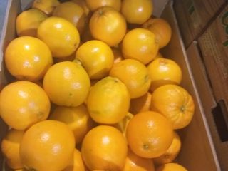 Pomarańcze Hiszpania región Valencia kal 7 8 pakowane po