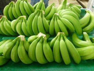Jesteśmy wiodącym eksporterem bananów Fresh Cavendish, proszę o kontakt,