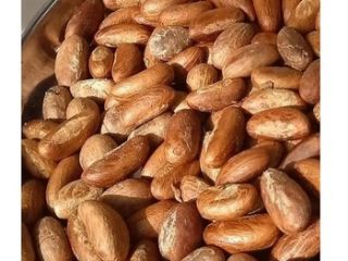 gorzka kola na sprzedaż, skontaktuj się z nami, jeśli