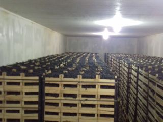 Poamă Mołdawia, naturalny produkt z sadu. Brak łamanych winogron,