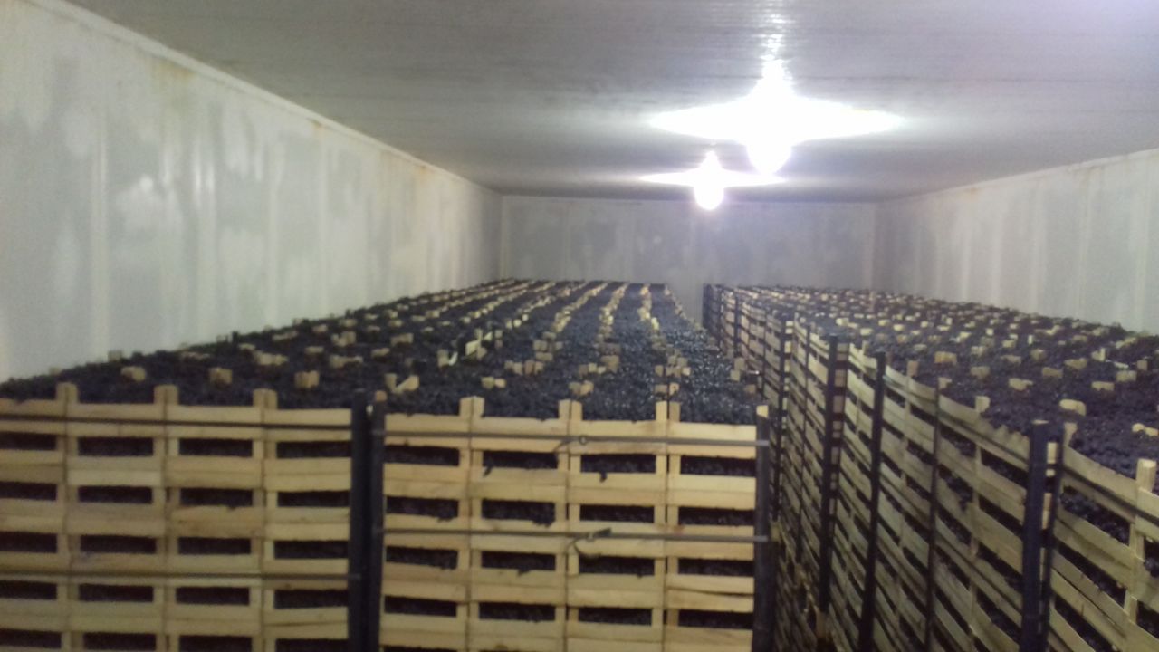 Poamă Mołdawia, naturalny produkt z sadu