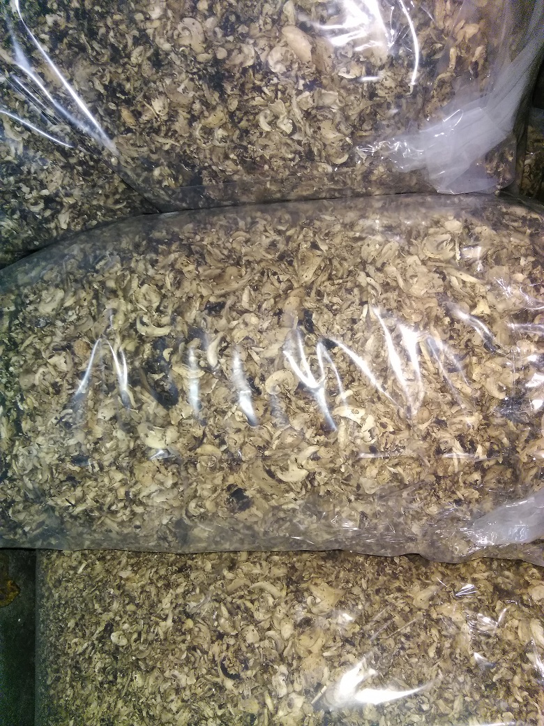 sprzedam suszona pieczarke - krajanka oraz suszony korzen pieczarki pakowana w worki foliowe po ok.10 kg