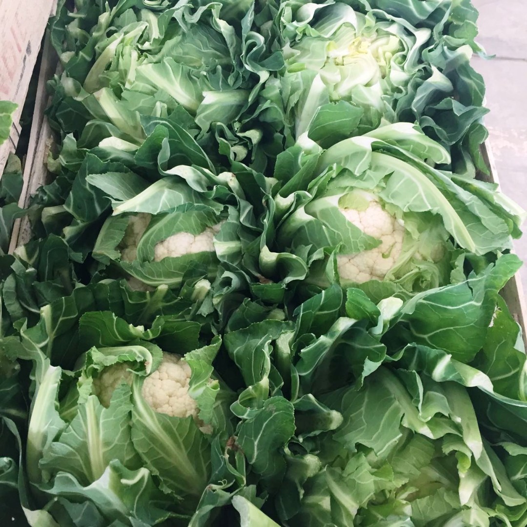 Kalafior, import z Francji, ładny, świeży, 6 szt./skrzynka drewniana, do odbioru w Grójcu
