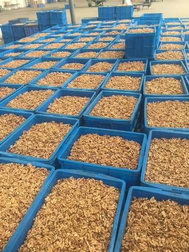 Organiczne jądra orzecha włoskiego Orzechy włoskie to wyjątkowo pożywne orzechy - często określane jako pokarm dla mózgu, a nie tylko dlatego, że przypominają