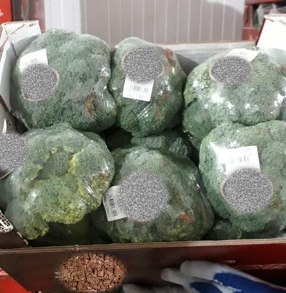 BROCCOLI FILMED / BROCCOLI IN ICE - 10 * 500g, Opakowanie: pudełko 5 kg