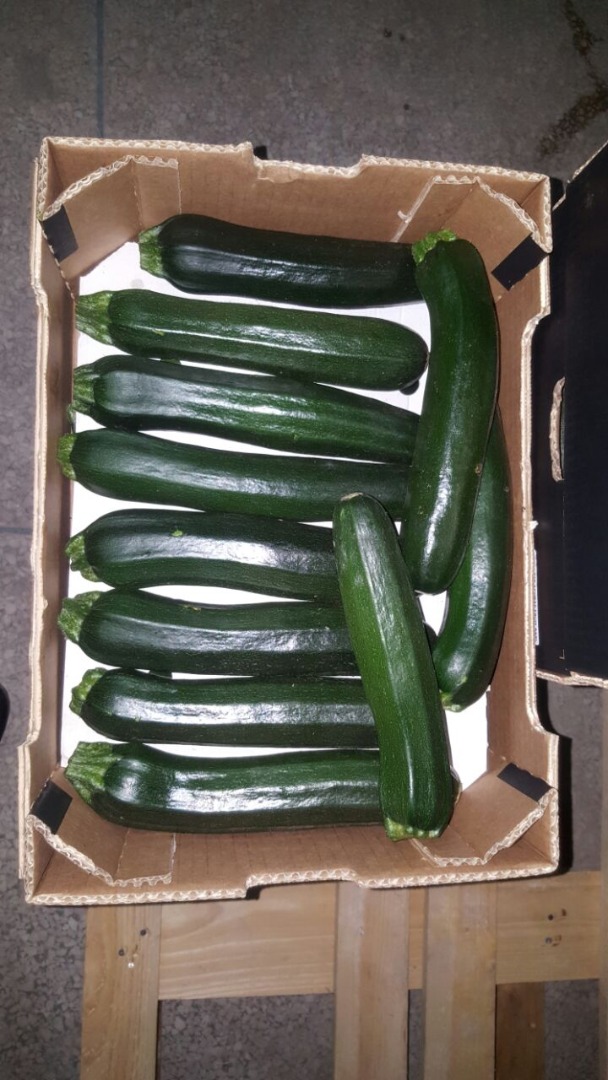 ZUCCHINI / COURGETTE - kaliber 14-21 cm / 21-30 cm - Opakowanie: karton 5 kg