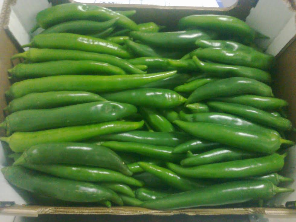 CZERWONY / ZIELONY PIEPRZ (CHILI) - bez kalibru - karton 4 KG - pochodzenie Maroko