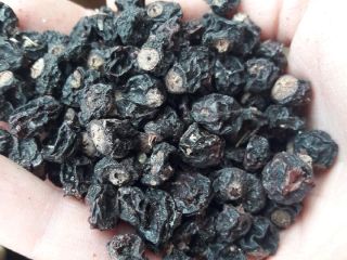 Mam do sprzedania okolo 1000 kg porzeczki czarnej suszonej.Porzeczka