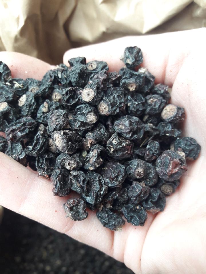 Mam do sprzedania okolo 1000 kg porzeczki czarnej suszonej.Porzeczka pochodzi z własnej plantacji ekologicznej ,potwierdzonej certyfikatem