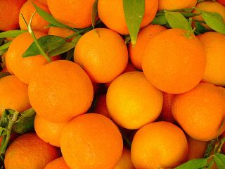 Kupuję pomarańcze i organiczne mandarynki, ostatnio zerwane z Hiszpanii