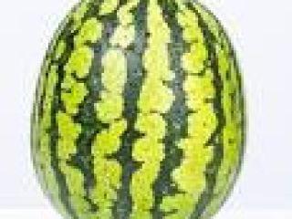 Posiadamy odmianę hybrydową Water Melon Ready to Harvest /